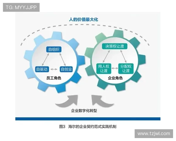 企业家洞见未来发展路径的战略思考与使命担当推动创新与社会价值